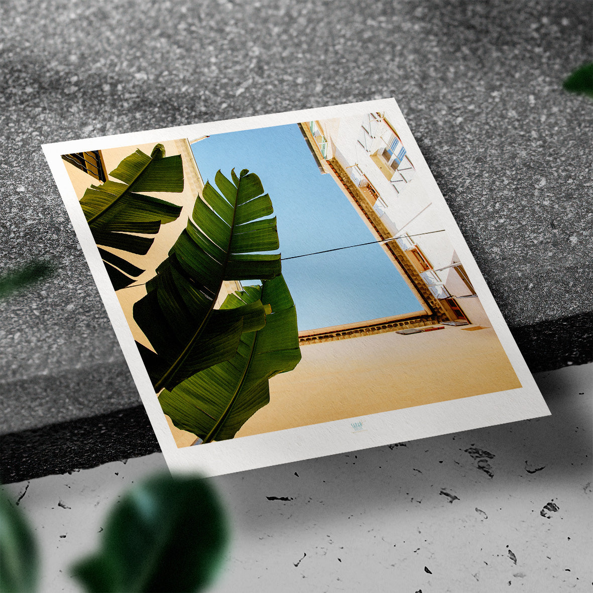 Essaouira Postcard