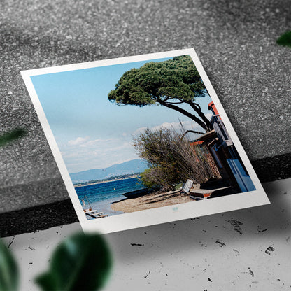 Essaouira Postcard