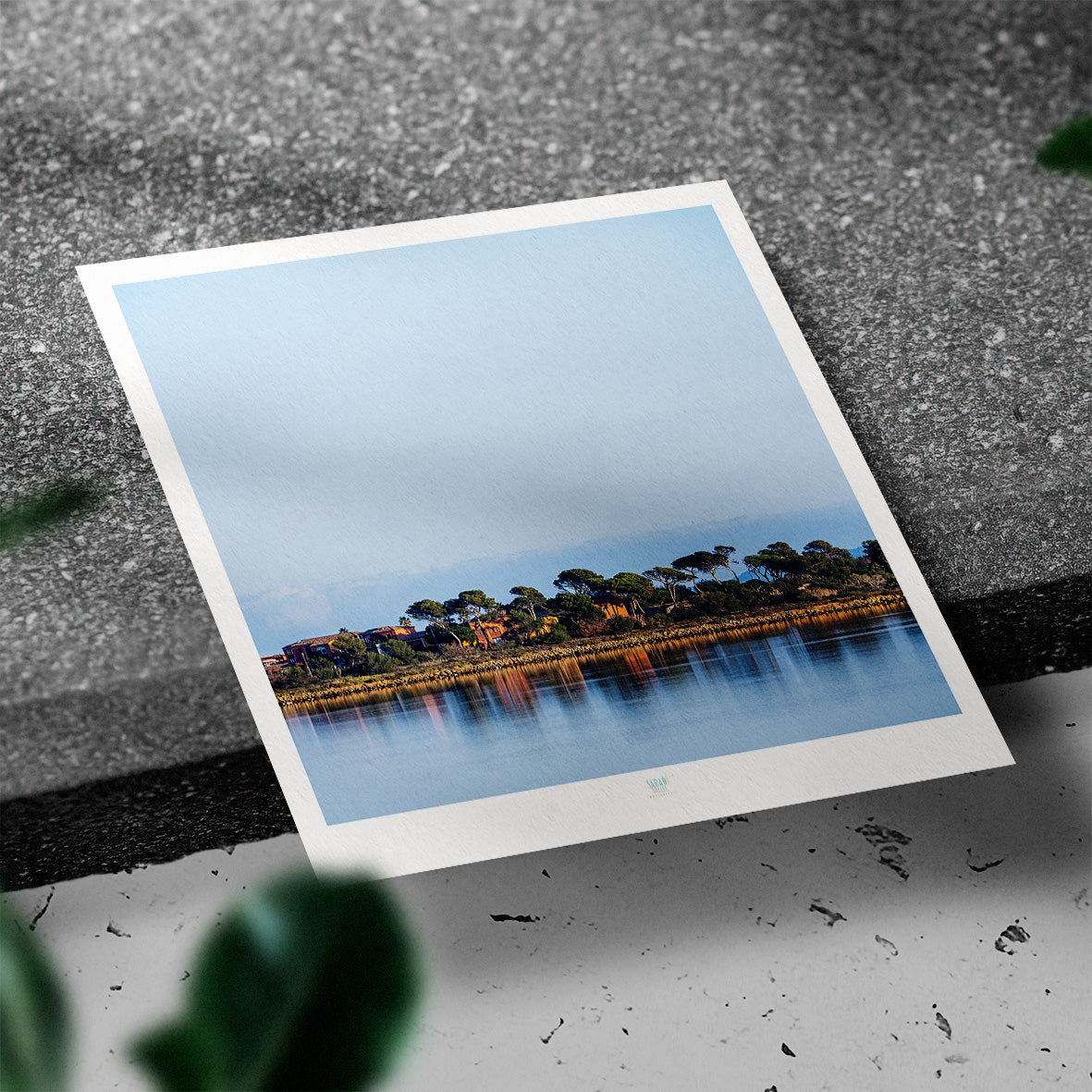 Essaouira Postcard