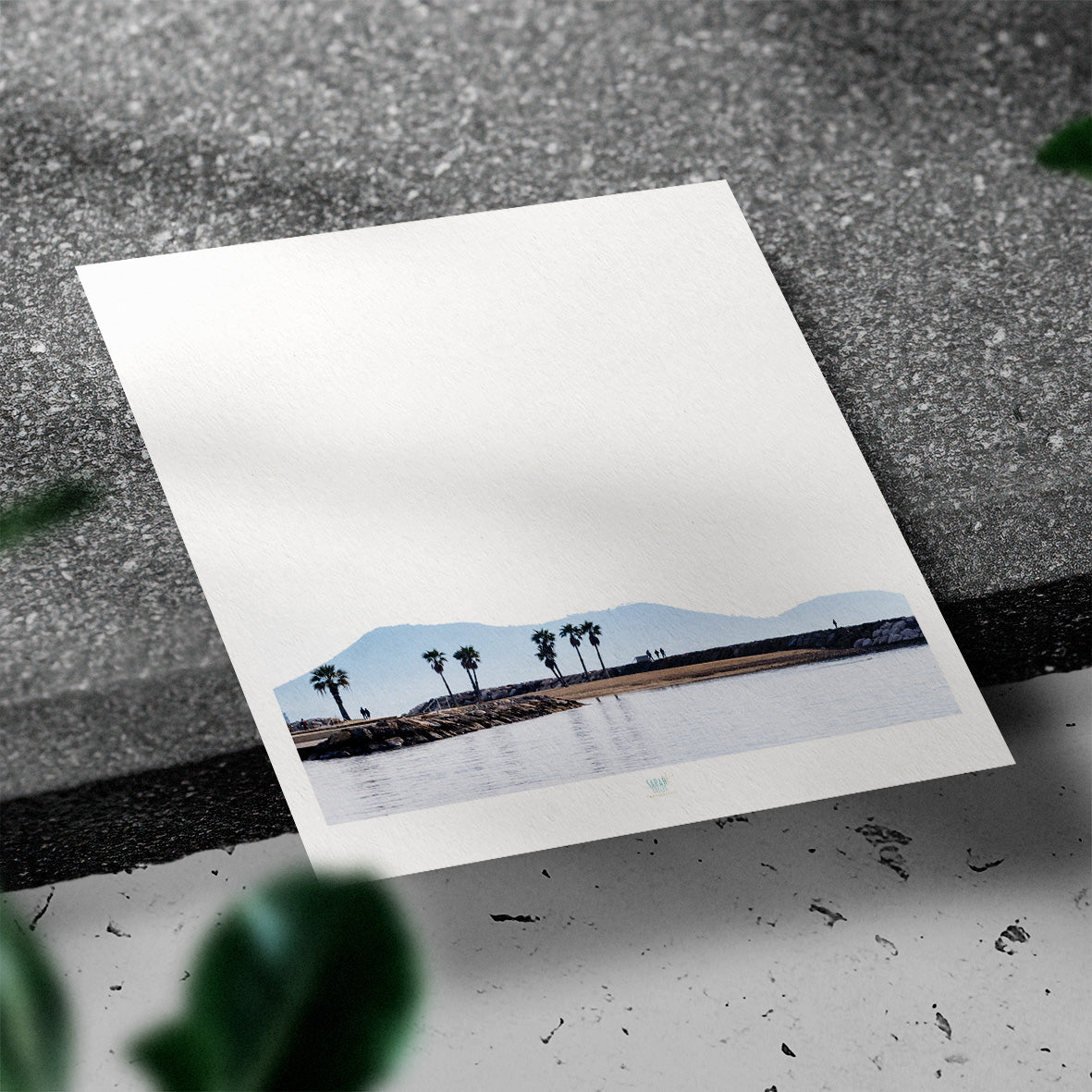 Essaouira Postcard
