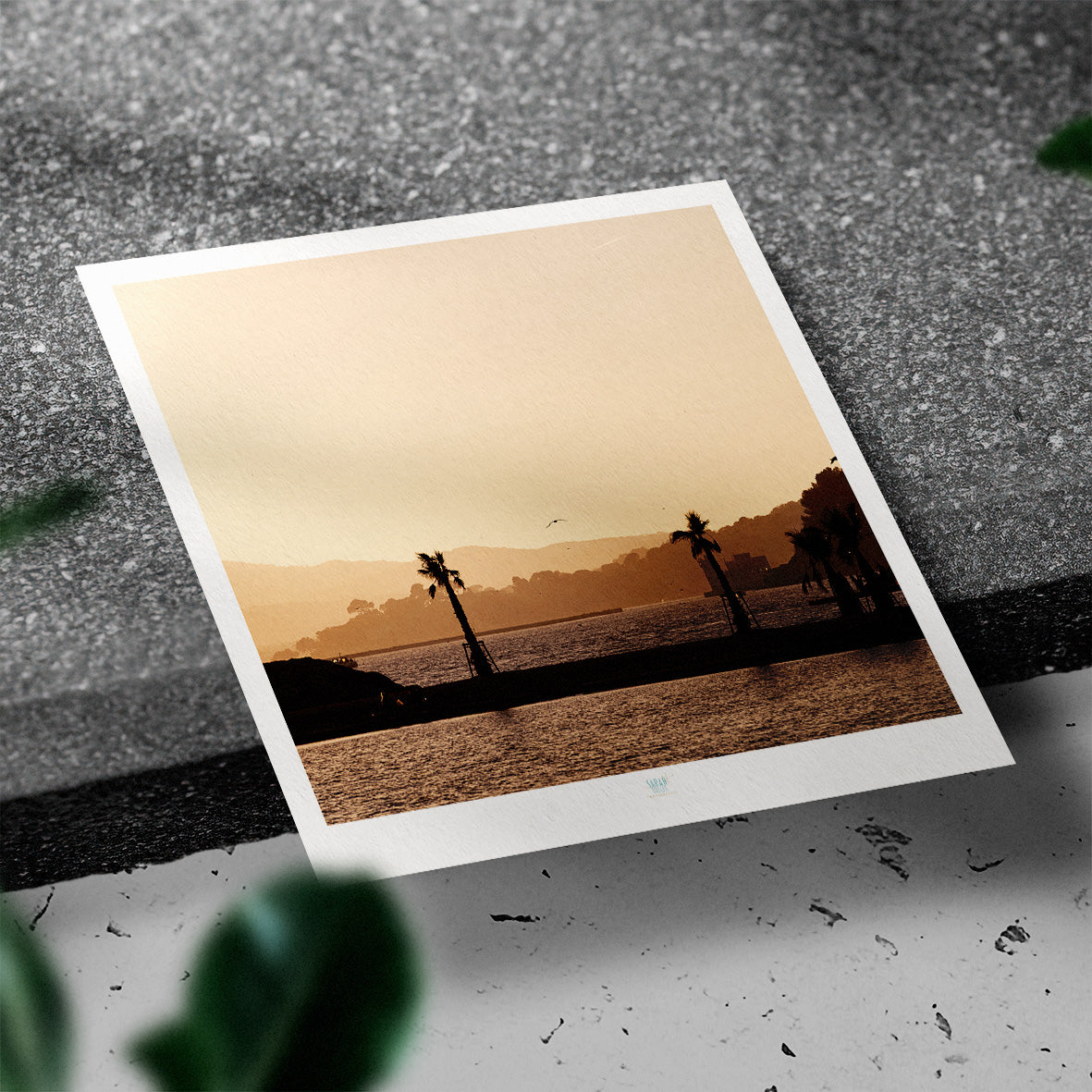 Essaouira Postcard
