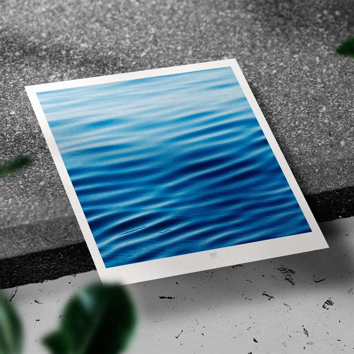 Essaouira Postcard