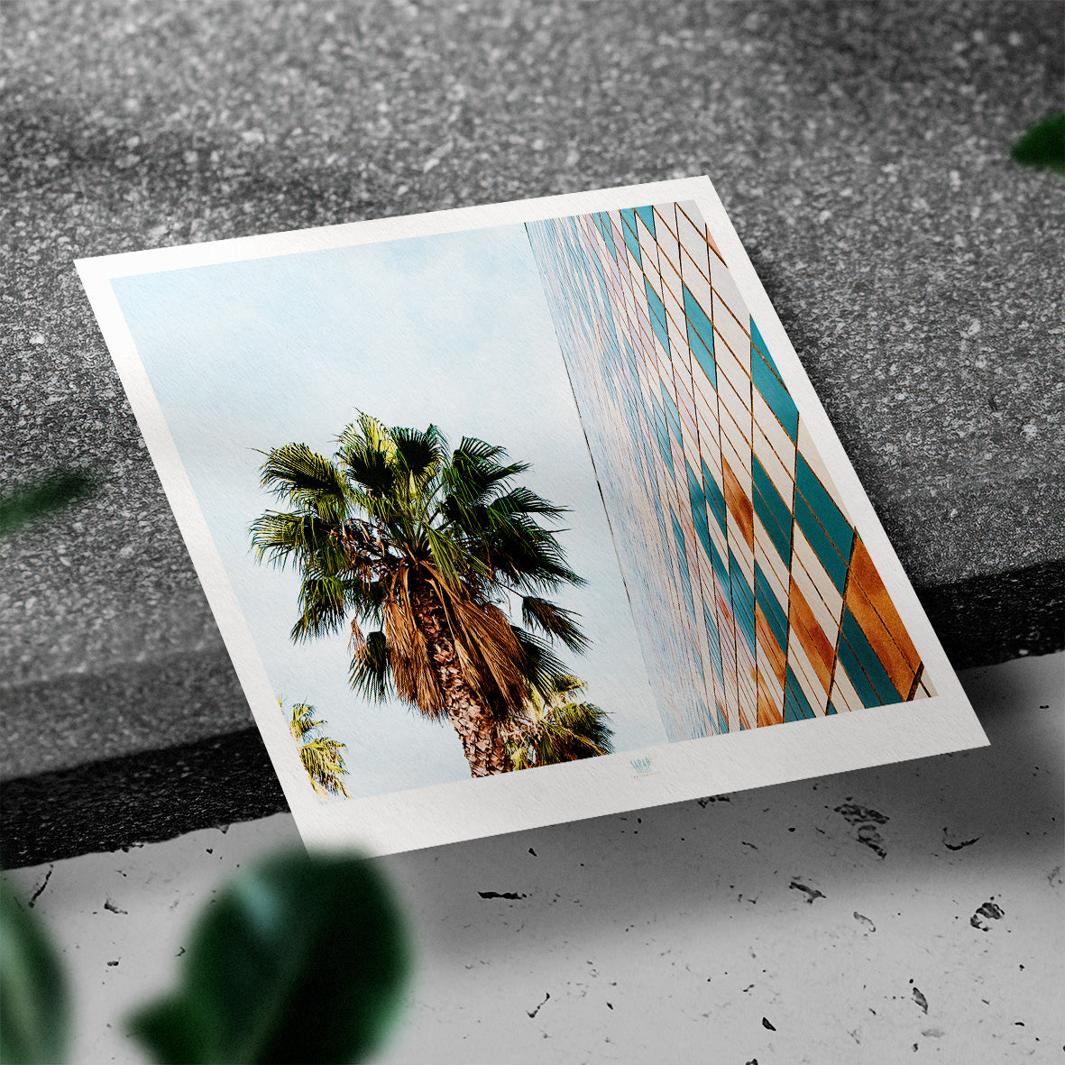 Essaouira Postcard