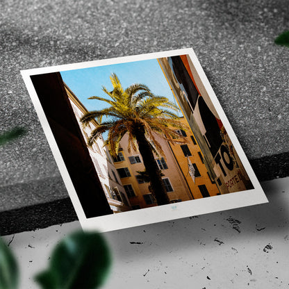 Essaouira Postcard