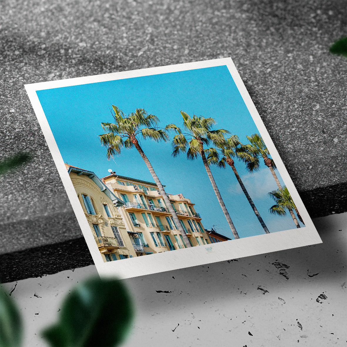 Essaouira Postcard