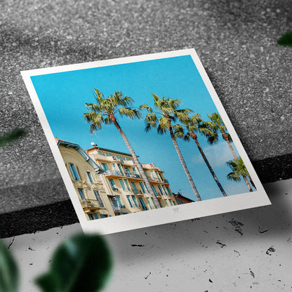 Essaouira Postcard