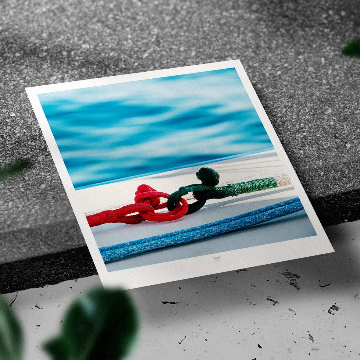 Essaouira Postcard