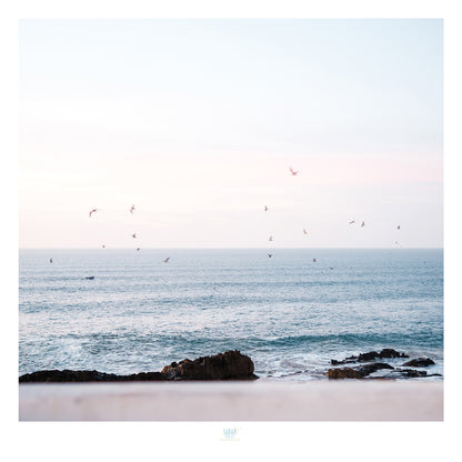 Essaouira Postcard