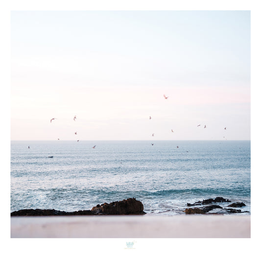 Essaouira Postcard
