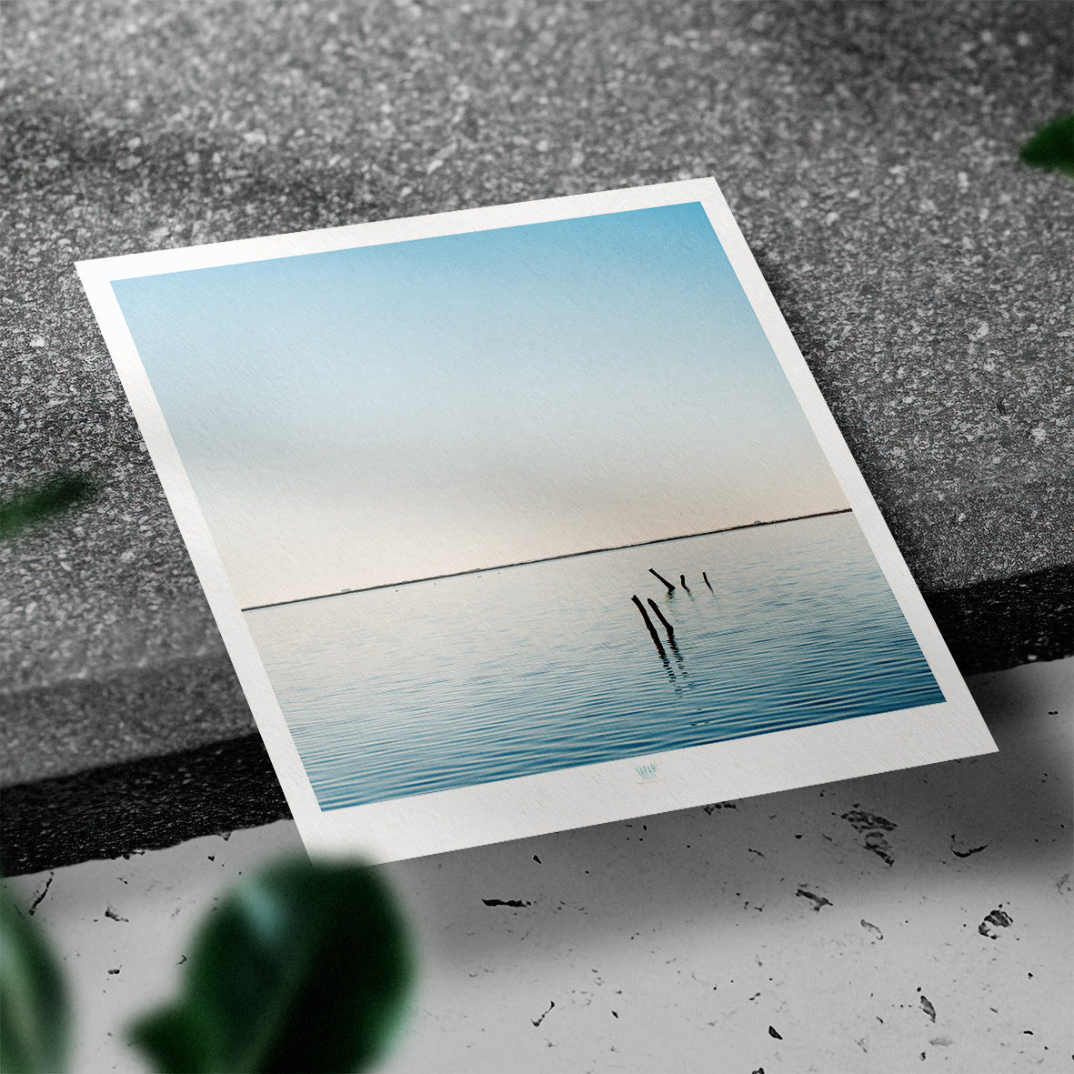 Essaouira Postcard