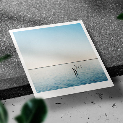Essaouira Postcard