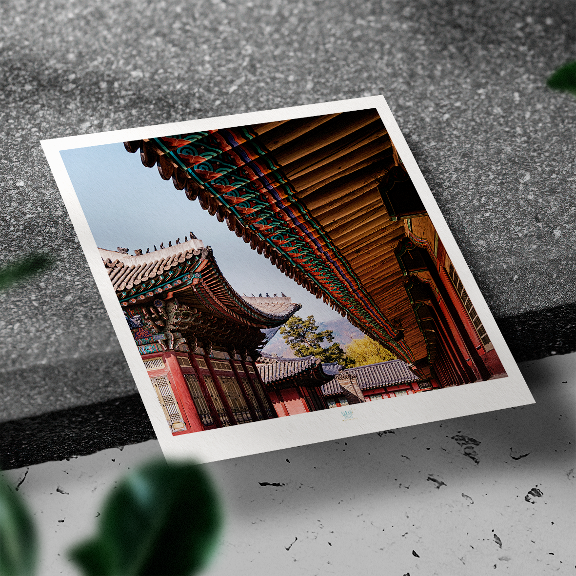 Photographe sarah Varlet Carte Postale Corée du Sud Séoul Palais de Gyeongbokgung