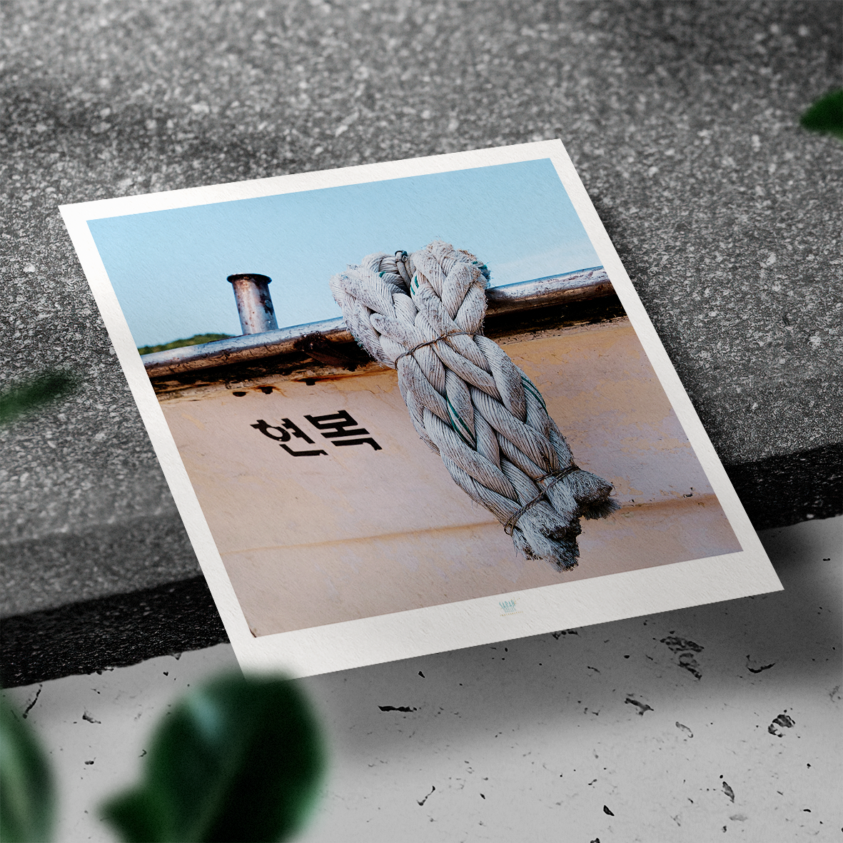 Essaouira Postcard