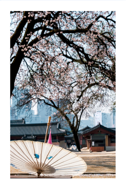Photo Corée du Sud  Séoul Ombrelle dans le Palais Gyeongbokgung