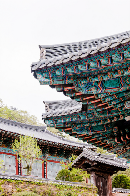 Photographe Sarah Varlet - Voyage Corée du sud Seoul Busan Temple Gyeongju cerisiers sakura - Tirage photo Décoration