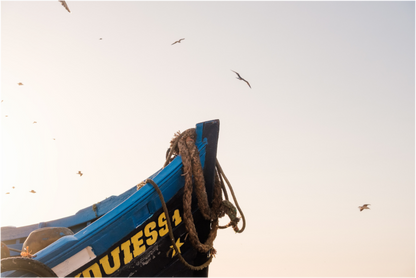 Sarah Varlet - Photo Affiche Poster - Décoration - Voyage Essaouira Maroc Barques bleues - coucher de soleil