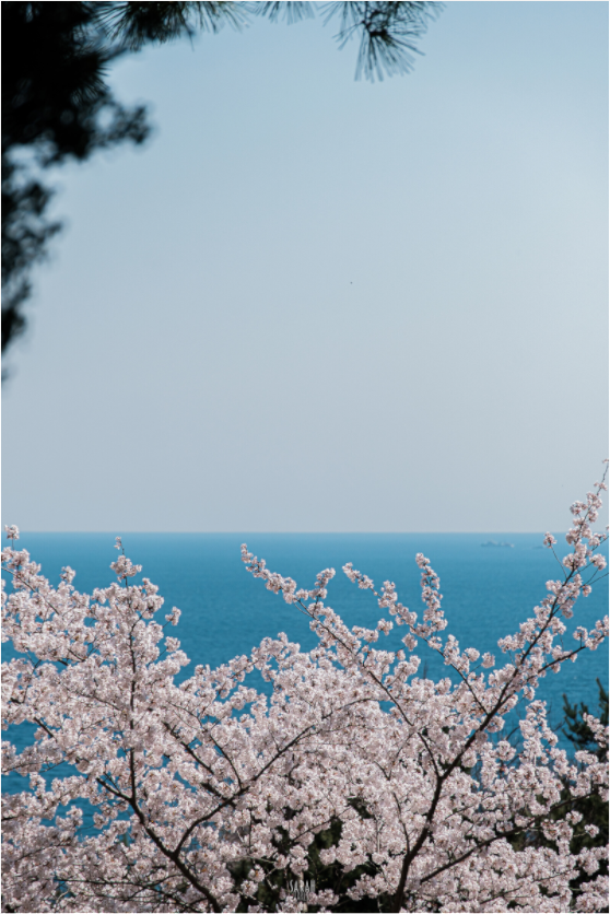 Main image Corée du Sud