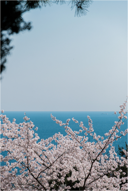 Main image Corée du Sud