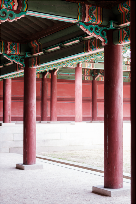 Photographe Sarah Varlet - Voyage Corée du sud Seoul Busan Temple Gyeongju cerisiers sakura - Tirage photo Décoration