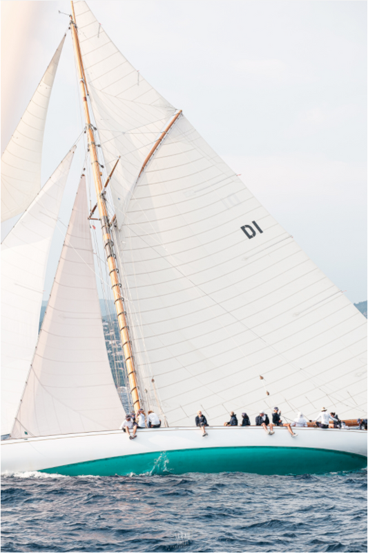 Sails of Saint Tropez