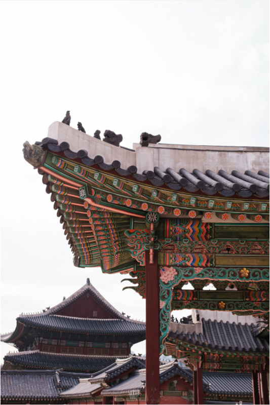 Photographe Sarah Varlet - Voyage Corée du sud Seoul Busan Temple Gyeongju cerisiers sakura - Tirage photo Décoration
