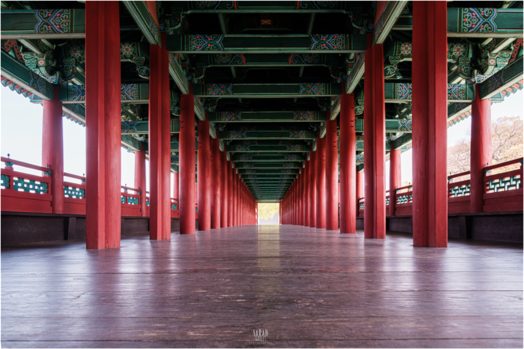 Photographe Sarah Varlet - Voyage Corée du sud Seoul Busan Temple Gyeongju cerisiers sakura - Tirage photo Décoration