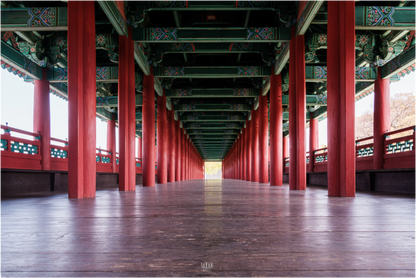Photographe Sarah Varlet - Voyage Corée du sud Seoul Busan Temple Gyeongju cerisiers sakura - Tirage photo Décoration
