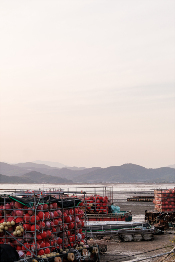 Main image Corée du Sud