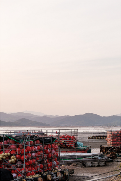 Main image Corée du Sud