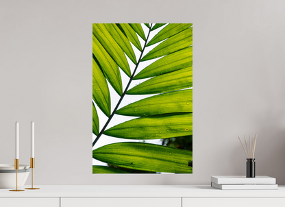 Sarah Varlet - Photo Affiche Poster - Décoration - Paysage - Mer - Seychelles