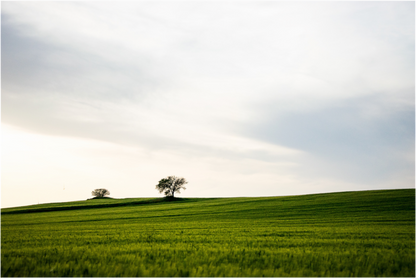Italie - Green