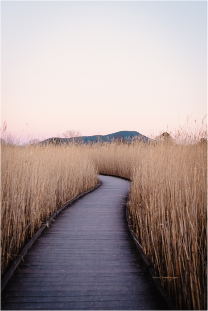 Sarah Varlet - Photo Affiche Poster - Décoration - Nature - Paysage - La Garde