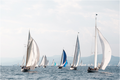 Voiles de Saint Tropez 2025 - Mer de voiles