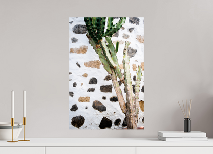 Sarah Varlet - Photo Affiche Poster - Décoration - Paysage - Lanzarote cactus