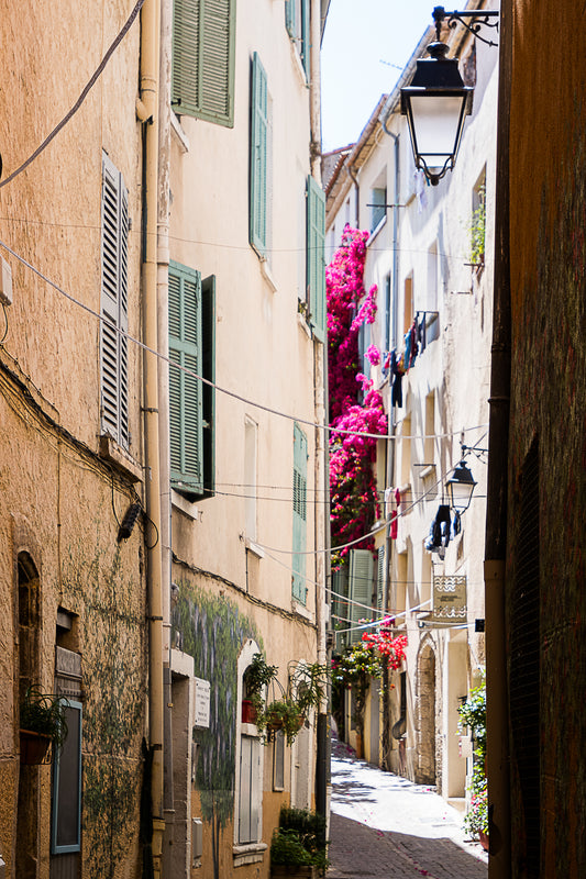 Photographie Décoration Sarah Varlet Tourisme Hyères Les Palmiers Provence Alpes Cote D'Azur